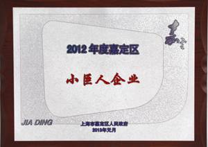 2012年度嘉定區小巨人企業