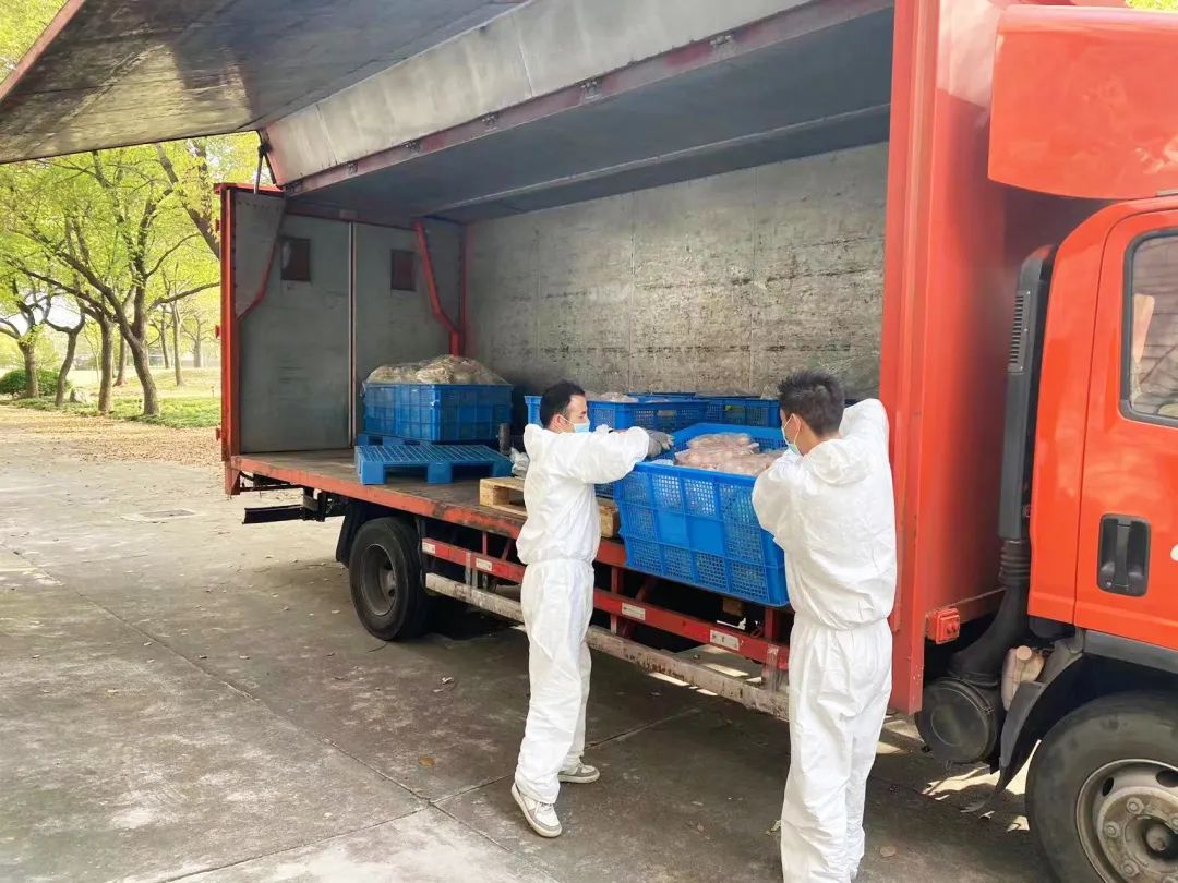 專業(yè)人員分裝、運送物資