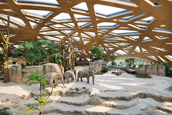 木建筑不只被用于住宅，也開始應用在公共建筑，瑞士蘇黎世動物園的大象館，便別出心裁使用大跨距的木構天幕，為象群營造充滿自然氣息的生活環境。