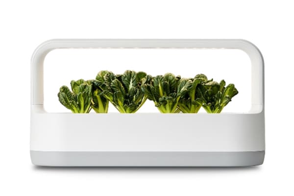 Tiiun”智能蔬菜箱可置放在家中各種角落，創造療愈的氛圍。 